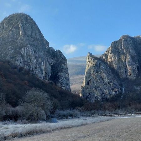 Golemi Kamik Pirot Vlasi Dış mekan fotoğraf