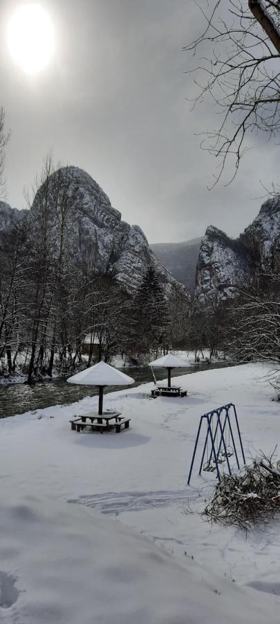 Golemi Kamik Pirot Vlasi Dış mekan fotoğraf