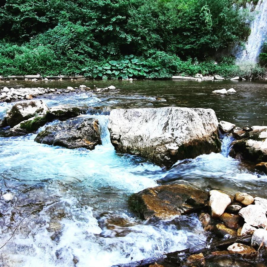 Golemi Kamik Pirot Vlasi Dış mekan fotoğraf