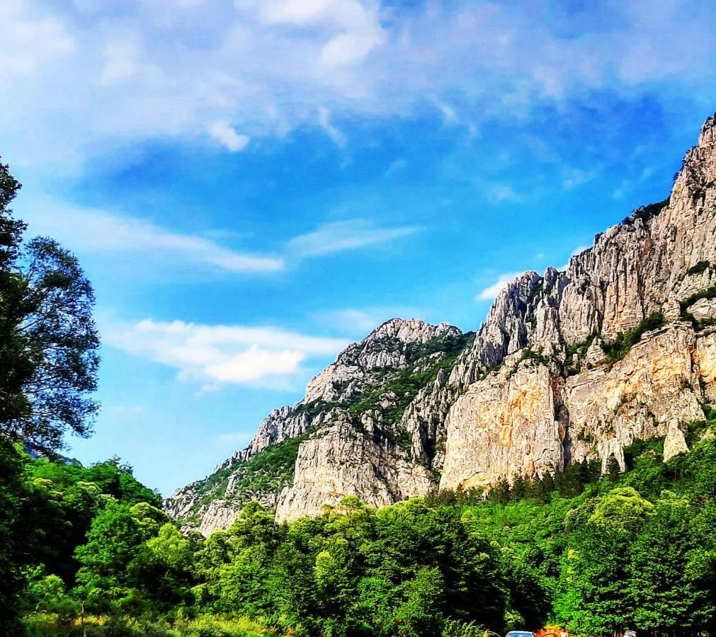 Golemi Kamik Pirot Vlasi Dış mekan fotoğraf