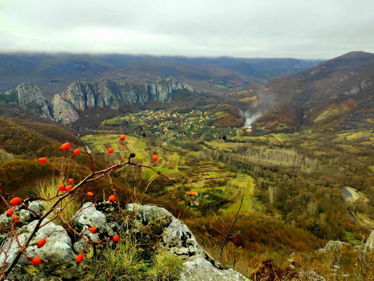 Golemi Kamik Pirot Vlasi Dış mekan fotoğraf