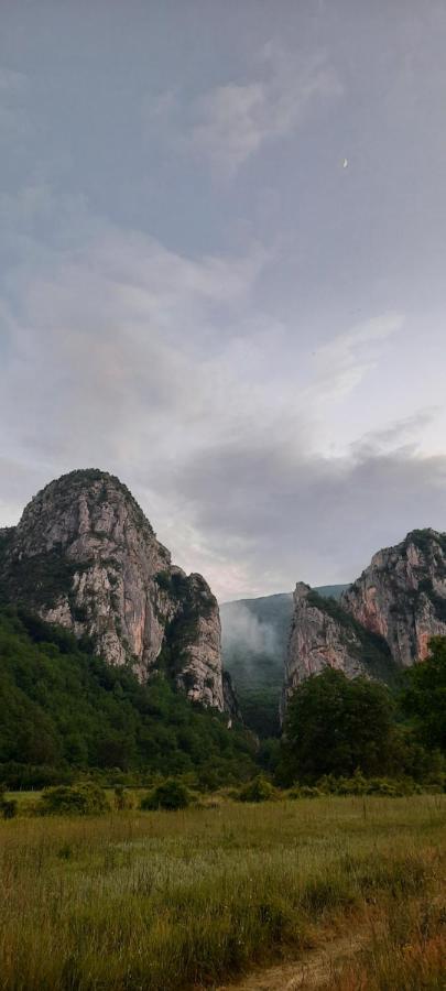 Golemi Kamik Pirot Vlasi Dış mekan fotoğraf