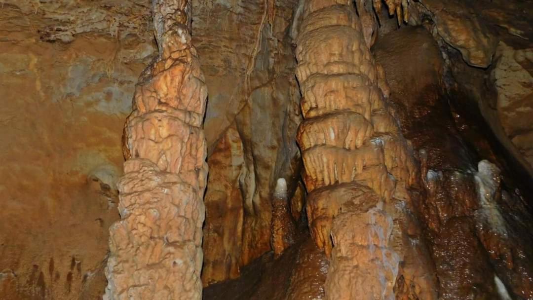 Golemi Kamik Pirot Vlasi Dış mekan fotoğraf