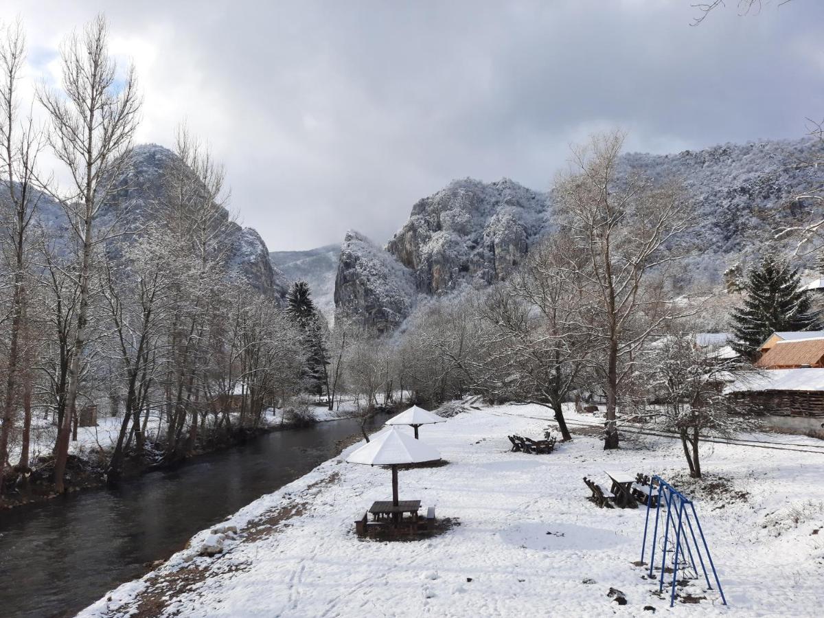Golemi Kamik Pirot Vlasi Dış mekan fotoğraf