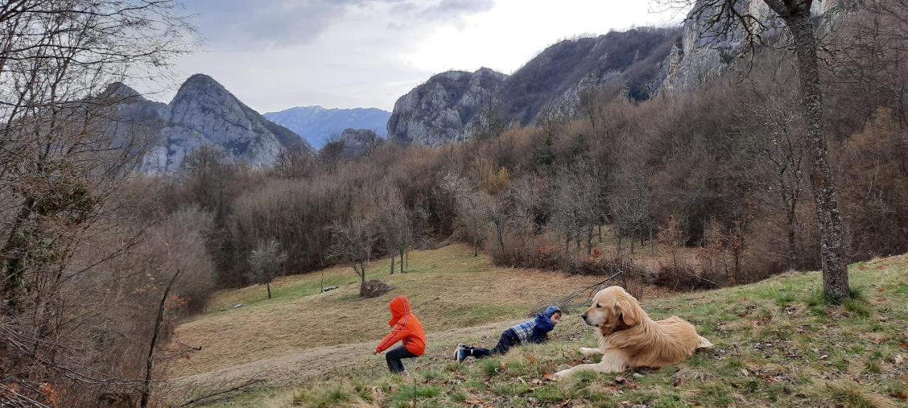 Golemi Kamik Pirot Vlasi Dış mekan fotoğraf