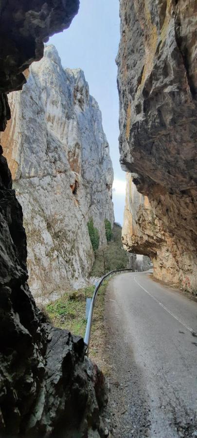 Golemi Kamik Pirot Vlasi Dış mekan fotoğraf