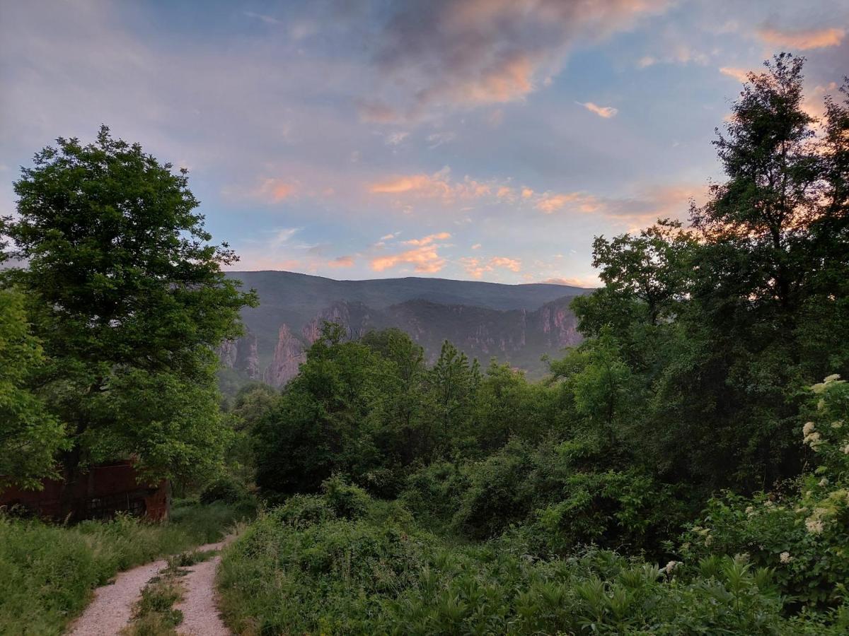 Golemi Kamik Pirot Vlasi Dış mekan fotoğraf