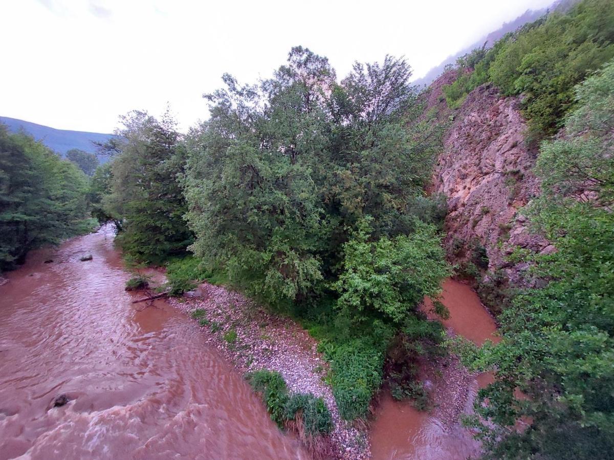 Golemi Kamik Pirot Vlasi Dış mekan fotoğraf