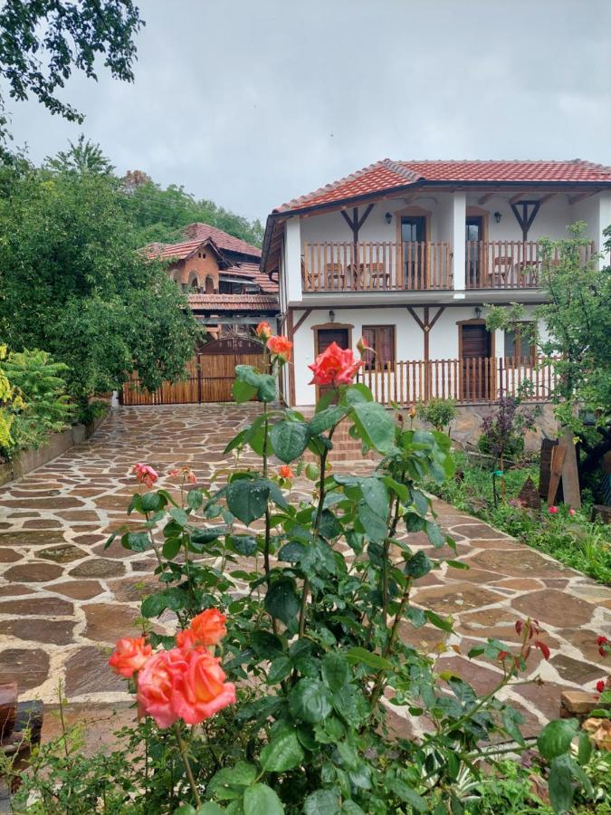 Golemi Kamik Pirot Vlasi Dış mekan fotoğraf