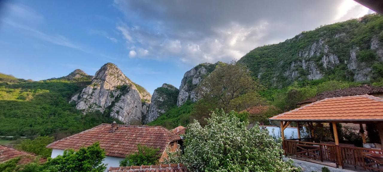 Golemi Kamik Pirot Vlasi Dış mekan fotoğraf