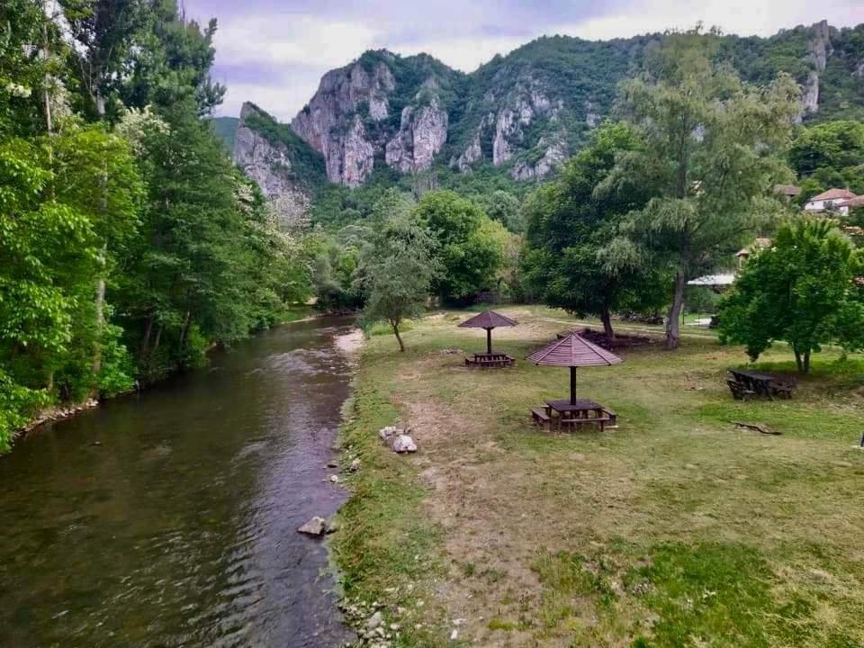 Golemi Kamik Pirot Vlasi Dış mekan fotoğraf