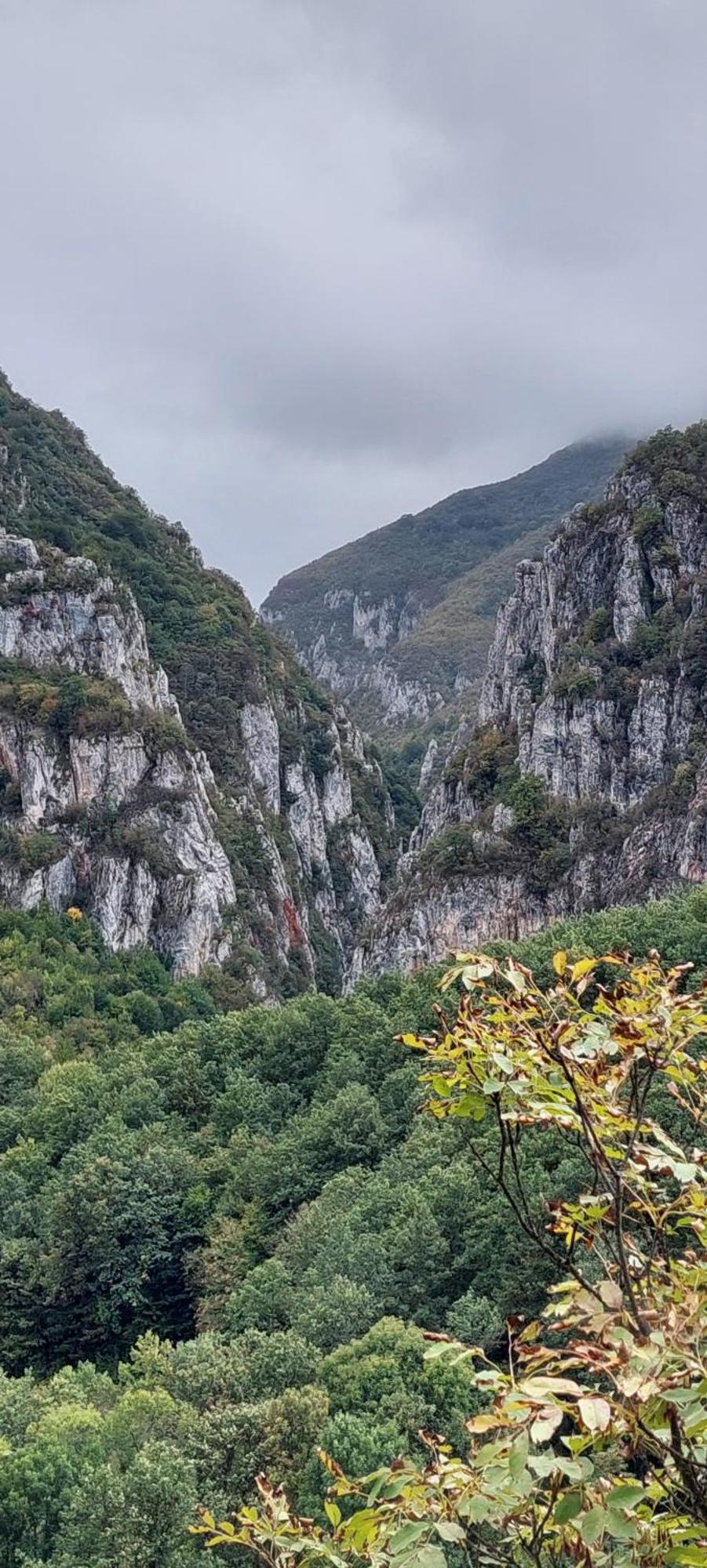 Golemi Kamik Pirot Vlasi Dış mekan fotoğraf